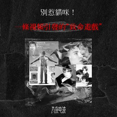 025.别惹猫咪！一条视频引发的“致命游戏”