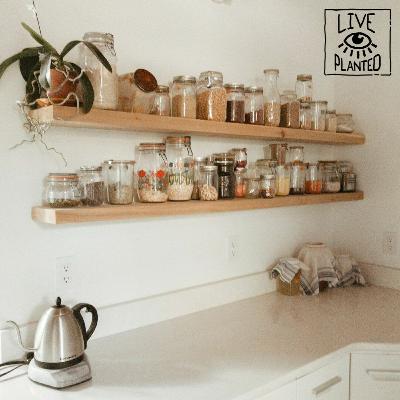 #170 How to Lighten Your Mental Load -LNTS