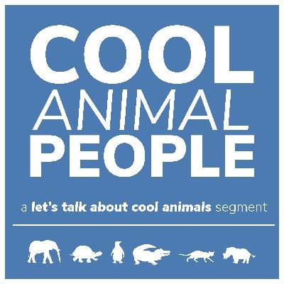 Shannon Wild (Wildlife Photographer & Cinematographer) COOL ANIMAL PEOPLE PODCAST