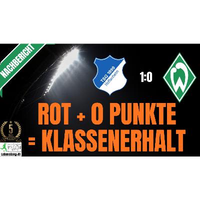 ⚽ Werder Bremen - News & Aktuelles 03.05.2026 | Nachbericht | Hoffenheim vs. Werder | 1-0