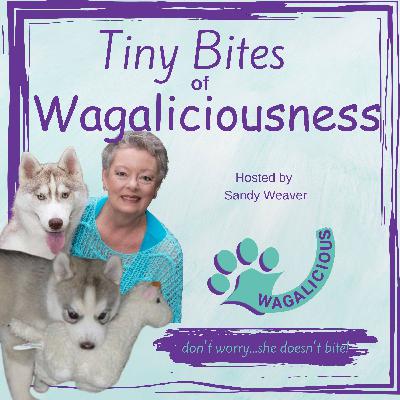 Using Tears to Feel Better - Tiny Bites of Wagaliciousness Podcast Using Tears to Feel Better - Tiny Bites of Wagaliciousness Podcast
