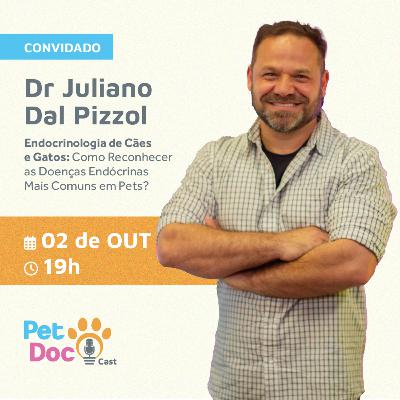 Endocrinologia de Cães e Gatos: Como Reconhecer as Doenças Endócrinas Mais Comuns em Pets?
