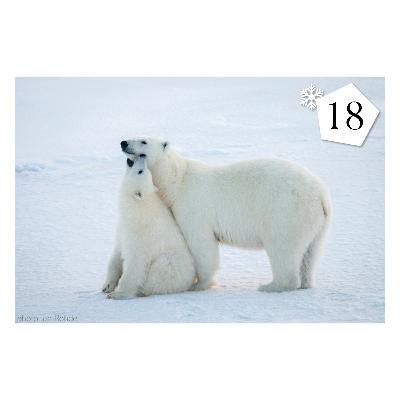 Türchen 18, Tiefe: 1950m, Zeit: 60.000 Jahre in der Vergangenheit Türchen 18, Tiefe: 1950m, Zeit: 60.000 Jahre in der Vergangenheit