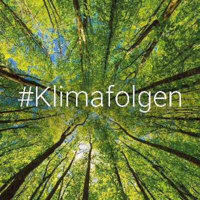 Bedroht der Klimawandel den Kaffeeanbau? Bedroht der Klimawandel den Kaffeeanbau?