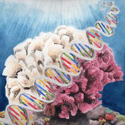 The Science of Coral Resilience with Dr. Emma Camp