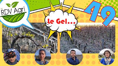 Gel des cultures : inventaires et solutions d'accompagnements : RDV Agri 49