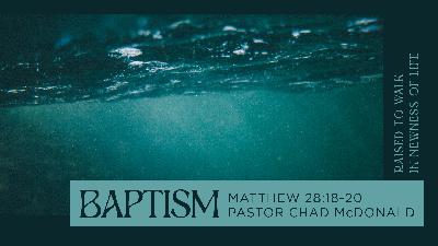 From Belief to Baptism - Video