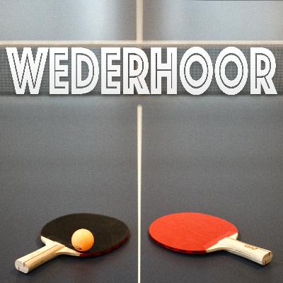 Wederhoor - Aflevering 4: Brussel wil met journalistiek in gesprek over AI