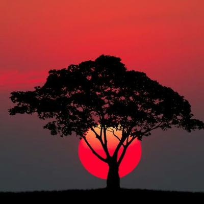 Най-интересните факти за света около нас