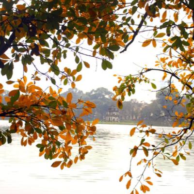 Sáng Chủ Nhật Mùa Thu Sáng Chủ Nhật Mùa Thu