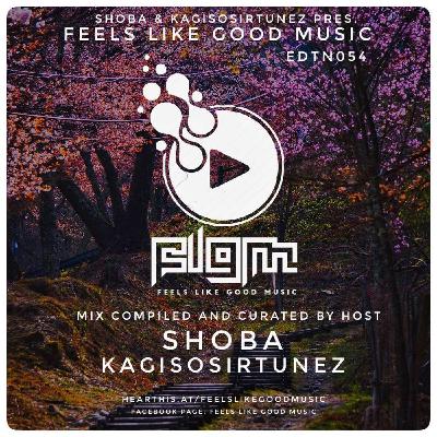 Feels Like Good Music EDTN 054 SHOBA SIDE B