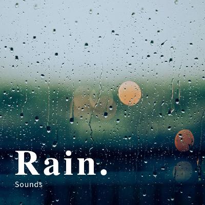 Rain Serenity: A 4-Hour Journey of Relaxing Rain Sounds