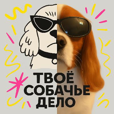 Это “Твое собачье дело”. Давайте дружить!