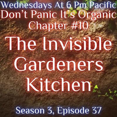 The Invisible Gardeners' Kitchen