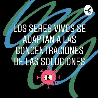 REALISMO, NATURALISMO Y MODERNISMO