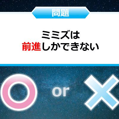 クイズ２択王｜動物の雑学｜ミミズ