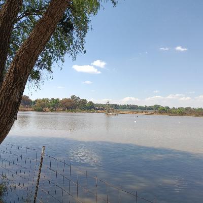 Palabras raras que dicen en Jalisco