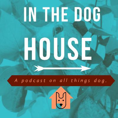 In the Dog House (episode 1) - bull breeds. Good dog bad owner. In the Dog House (episode 1) - bull breeds. Good dog bad owner.