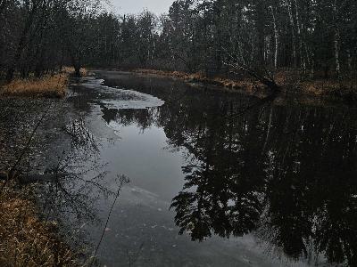 El Nino in Wisconsin