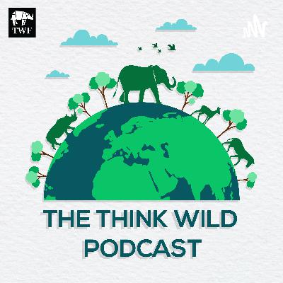 Episode 16 - Saving the Elusive Pygmy Hog - Dhritiman Das Episode 16 - Saving the Elusive Pygmy Hog - Dhritiman Das