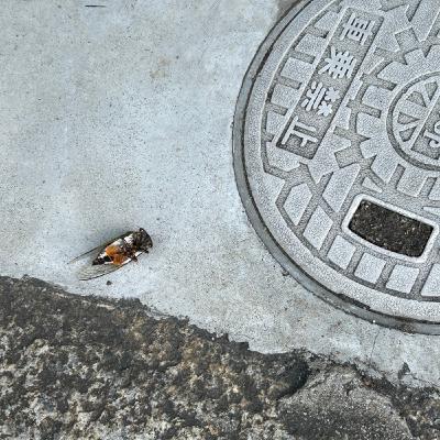 以感恩之心測試放假太久緊接新生活之後腦與口舌是否健在 以感恩之心測試放假太久緊接新生活之後腦與口舌是否健在