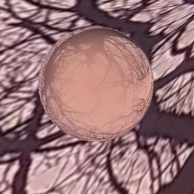 Umbilical Lands And The Shape-Shifting Lives Of Rivers | Bo Choy and Sayana Namsaraeva