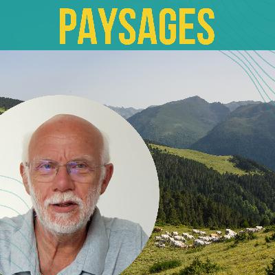 INTERVIEW - Y a-t-il des paysages de France emblématiques d’une seule plante-phare ? | Marc Benoît INTERVIEW - Y a-t-il des paysages de France emblématiques d’une seule plante-phare ? | Marc Benoît