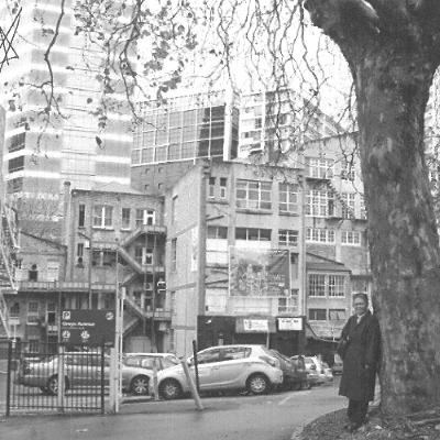 Suzanne Chan On - Recollections of Greys Avenue