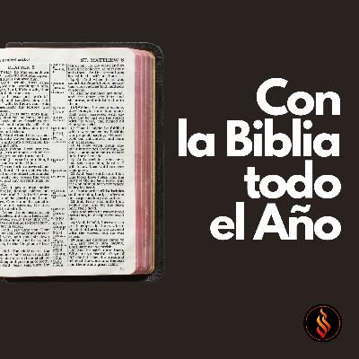 Día 131: Juan el Bautista exalta a Jesús Día 131: Juan el Bautista exalta a Jesús