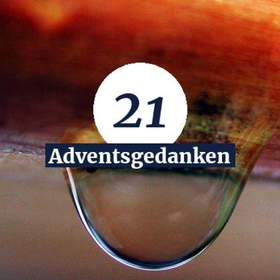 Tag 21 - Verzeihen