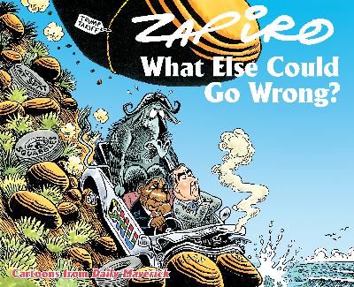 What Else Could Go Wrong? – Zapiro