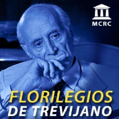 La constitución material de España