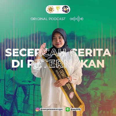 Fapet Talks Eps. 8