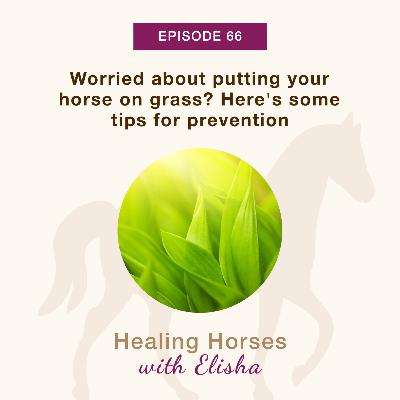 66: Worried about putting your horse on grass? Here are Some Tips for Prevention for More Sugar-Sensitive Horses