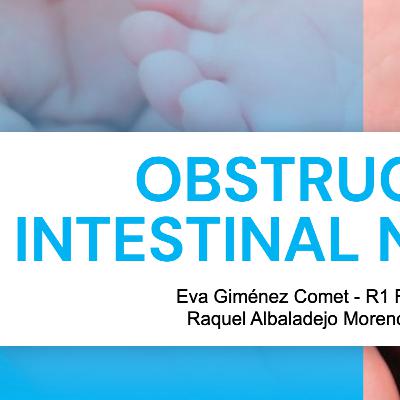 Oclusión intestinal Neonatal