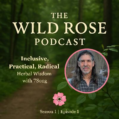 Inclusive, Practical, Radical – Herbal Wisdom with 7Song