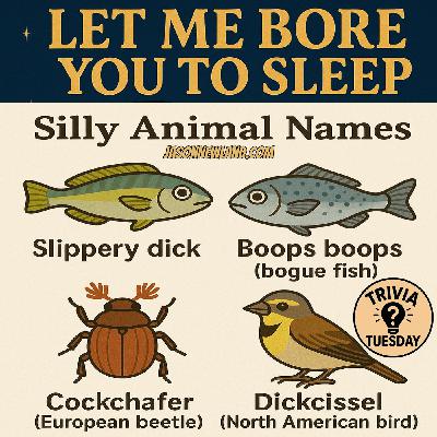 (music) Silly Animal names | Trivia Tuesday | LMBYTS #1492 | Jason Newland | 18th November 2025