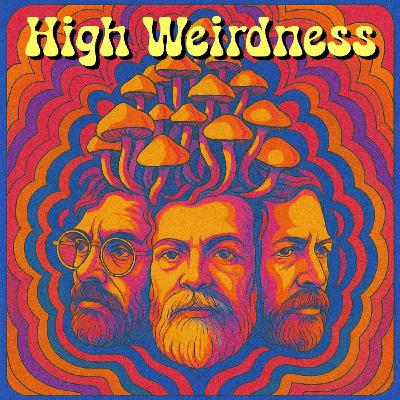 S04E37 High Weirdness with Erik Davis