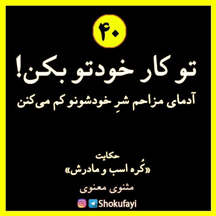 تو کار خودتو بکن! آدمهای مزاحم شر خودشونو کم میکنن