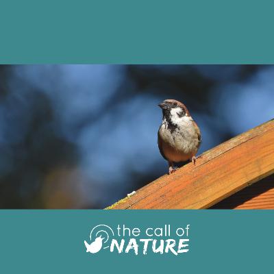 Episode 11 "Guiding Lights and Nuts-Aplenty"