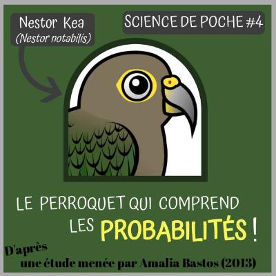 Science de poche #4 Un oiseau rare... et statisticien !
