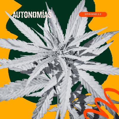 Cuidados Cannábicos