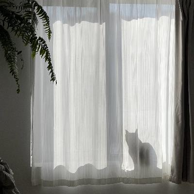 人生如一阵春风 人生如一阵春风