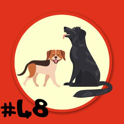 Folge 48 - Bernd Schäferhund und Trixie Dackel Folge - Ein ganz normaler Tag