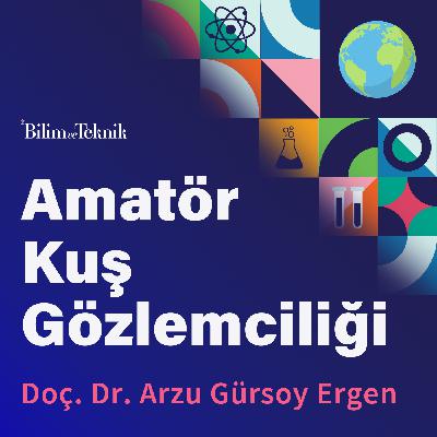 Doğaya Yakından Bakmak: Kuş Gözlemciliği Meraklıları İçin Kılavuz