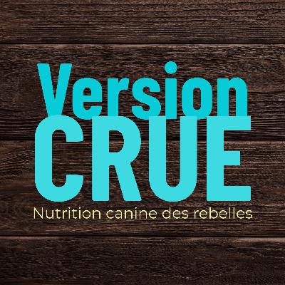 Pourquoi un calculateur gratuit ne suffit pas pour bien nourrir ton chien Pourquoi un calculateur gratuit ne suffit pas pour bien nourrir ton chien