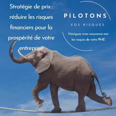 Stratégie de prix : réduire les risques financiers pour la prospérité de votre entreprise Stratégie de prix : réduire les risques financiers pour la prospérité de votre entreprise