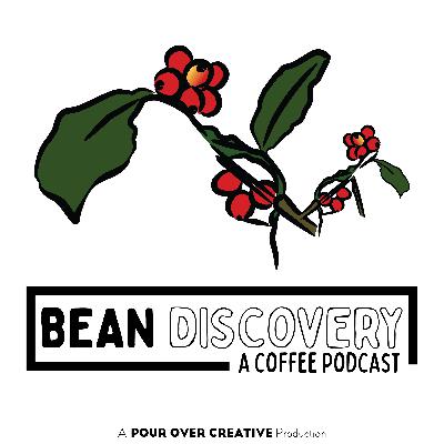 Announcing Bean Discovery!