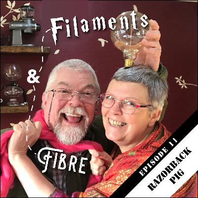 Episode 11—Filaments & Fibre—'Razorback Pig'
