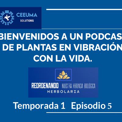 Herbolaria de Europa, Episodio 5
